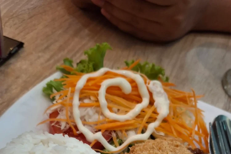 Nasi Ayam Teriyaki Solaria