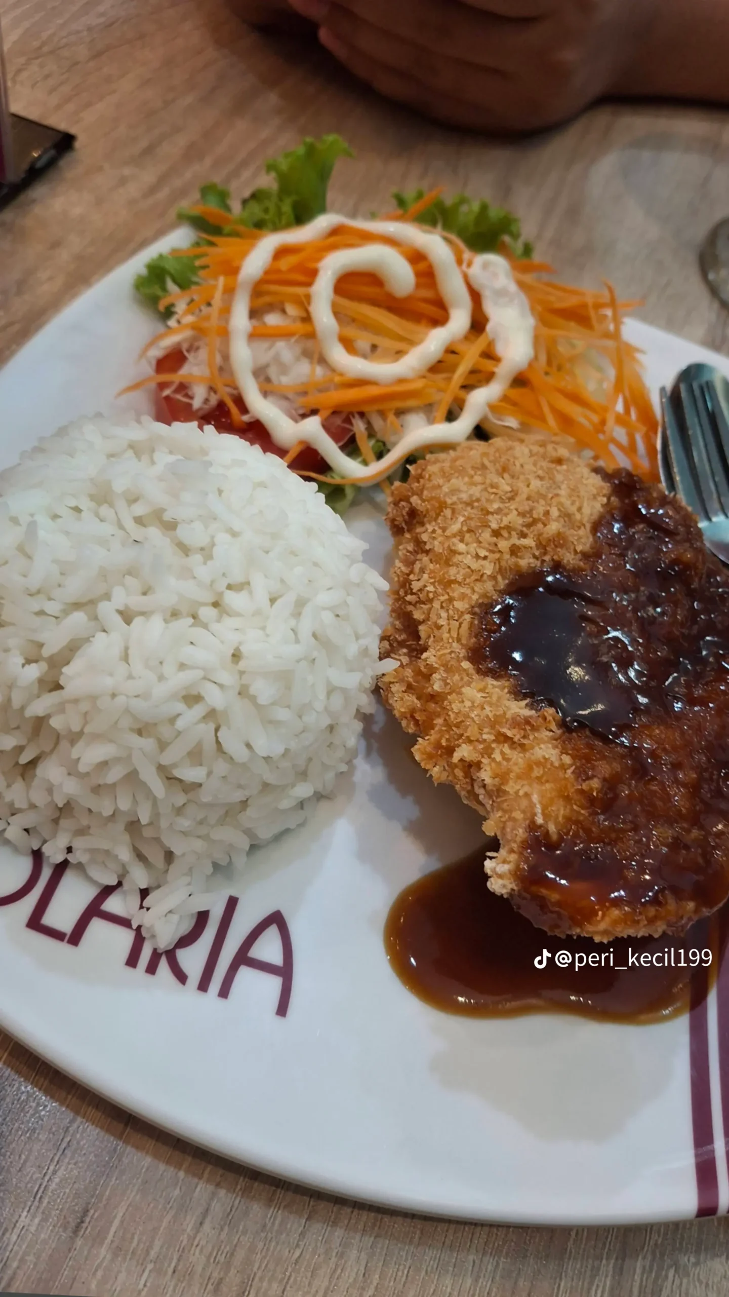 Nasi Ayam Teriyaki Solaria